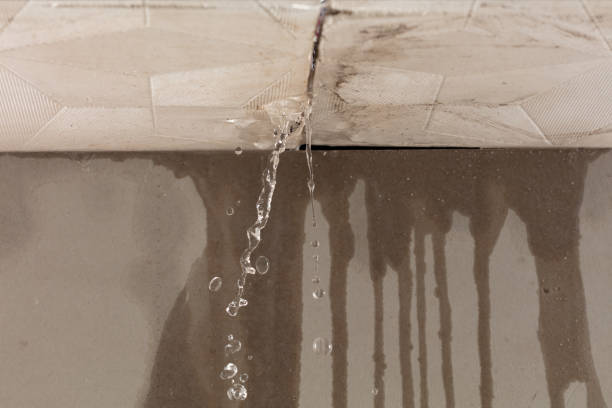 Professional Sewage Cleanup technician working in Wilsonville, OR